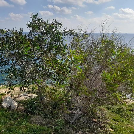 Marias Villa Πρωταράς Εξωτερικό φωτογραφία